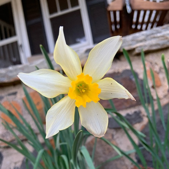 Meet your Posher, Libby - Picture 1 of 1